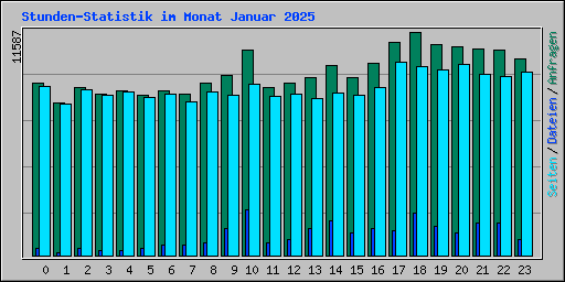 Stunden-Statistik im Monat Januar 2025