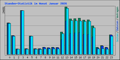 Stunden-Statistik im Monat Januar 2026